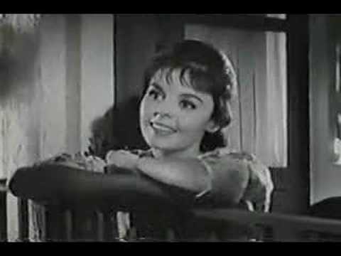 Pelea de Serenatas - Los Cinco Halcones