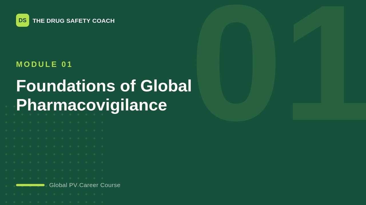Foundations of Global Pharmacovigilance — module video