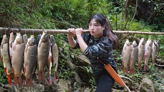 Download lagu Keterampilan Menangkap Ikan Sungai Raksasa dengan Tangan Kosong | Bertahan Hidup di Hutan Belantara, bertahan hidup sendirian mp3