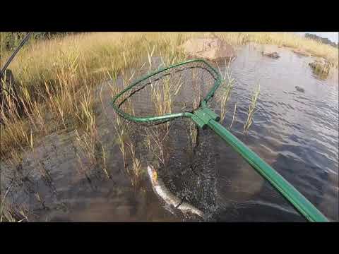 Markus Kalassa - Merikalastus 2019 Syyskuun kalareissut