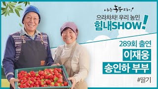 [이벤트 300회 특집] 색다른 딸기 농장을 꿈꾸는 재웅 & 인하 씨 힘내SHOW!
