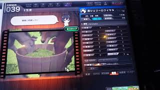 【スターホース4】爆発✕爆発
