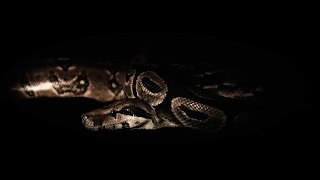 Misanthrope Monarch - "The Brotherhood Of Destruction" OFFICIAL VIDEO