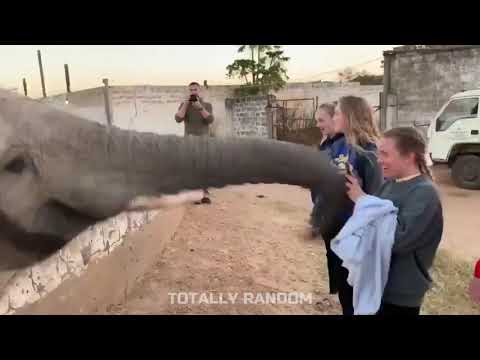 131216 - Totally Random #3 - مقاطع مضحكة جدا