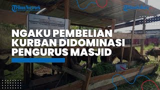 Jelang Iduladha di Malinau, Peternak Ngaku Pembelian Hewan Kurban Didominasi Pengurus Masjid