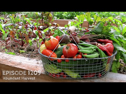 Growing a Greener World Episode 1209 - Abundant Harvest