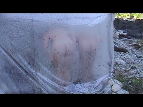 Perfect from Start to Finish – Can You Believe This? LIKE A BOSS!!! P14