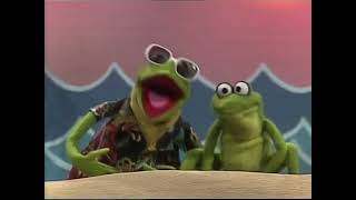Sesamstraat (Sesame Street) - Caribbean Amphibian (Dutch)