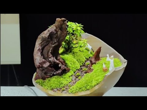 Don't throw broken pot #terrarium #landscape #diy