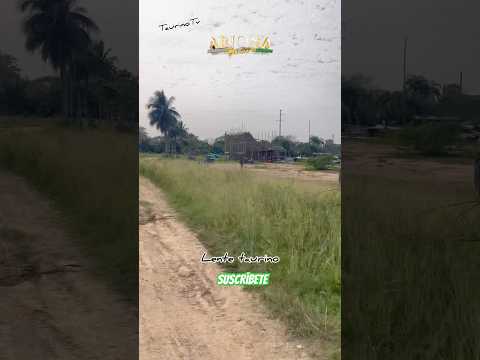 Así va la monumental plaza de toros de Arjona Bolívar 2026🇨🇴❤️🐂 #arjona #corralejas #comparte