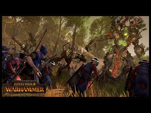 Deadly Wood Elf Ambush | Warhammer Total War Online battle