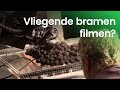 Hoe worden eetvideo's gemaakt?
