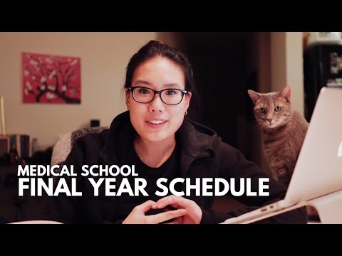MY FINAL YEAR OF MEDICAL SCHOOL SCHEDULE! + DIY Lightbox | 3rd Year of Med School Vlog