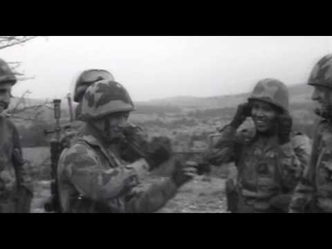 3°régiment d'artillerie de marine