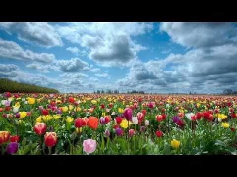 download lagu mp3 mp4 Haidakhan Babaji Aarti, download lagu Haidakhan Babaji Aarti gratis, unduh video klip Haidakhan Babaji Aarti