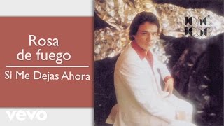 José José - Rosa de Fuego (Cover Audio)