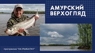Как ловить верхогляда и красноперку на амуре весной