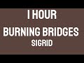 Sigrid - Burning Bridges [1 HOUR]
