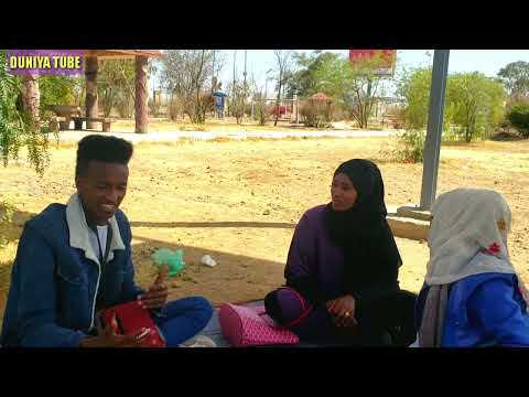 diramaa ajaaibaa harmalla qalbii xaliilaa hin qaanfattu dawwadha