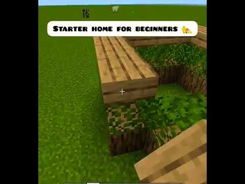 "🏡 Epic Minecraft Starter House for Beginners - Step-by-Step Guide!"#minecraft #shorts