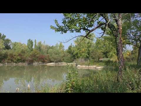 Mainz-Laubenheim - Landschaft im Sommer
