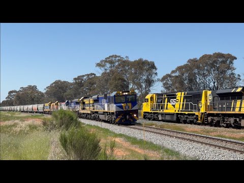 Australian Freight & Passenger Trains Crossing Part 4 - 4K