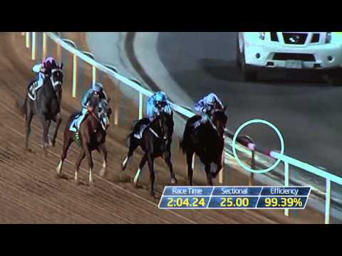 California Chrome Analysis - Racing TV