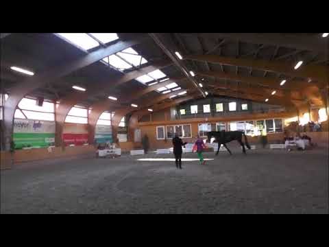 Alisa Jährig (HAN) Junioren