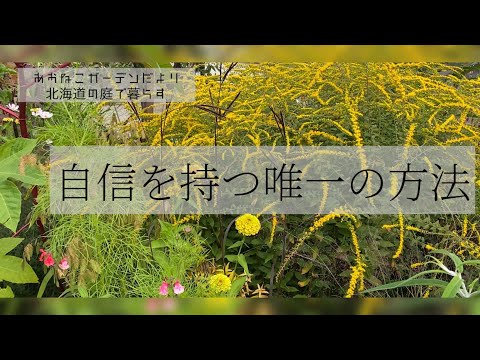 pergola-bioclimatique-lames-éclairée-indirect-optimiser