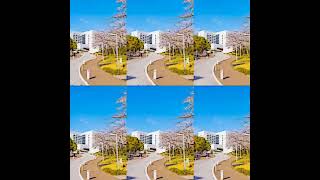 【早稲田所キャンの人ゴメン】高学歴元家庭教師が個人的に選ぶ大学群別穴場学部 #capcut #一応慶應