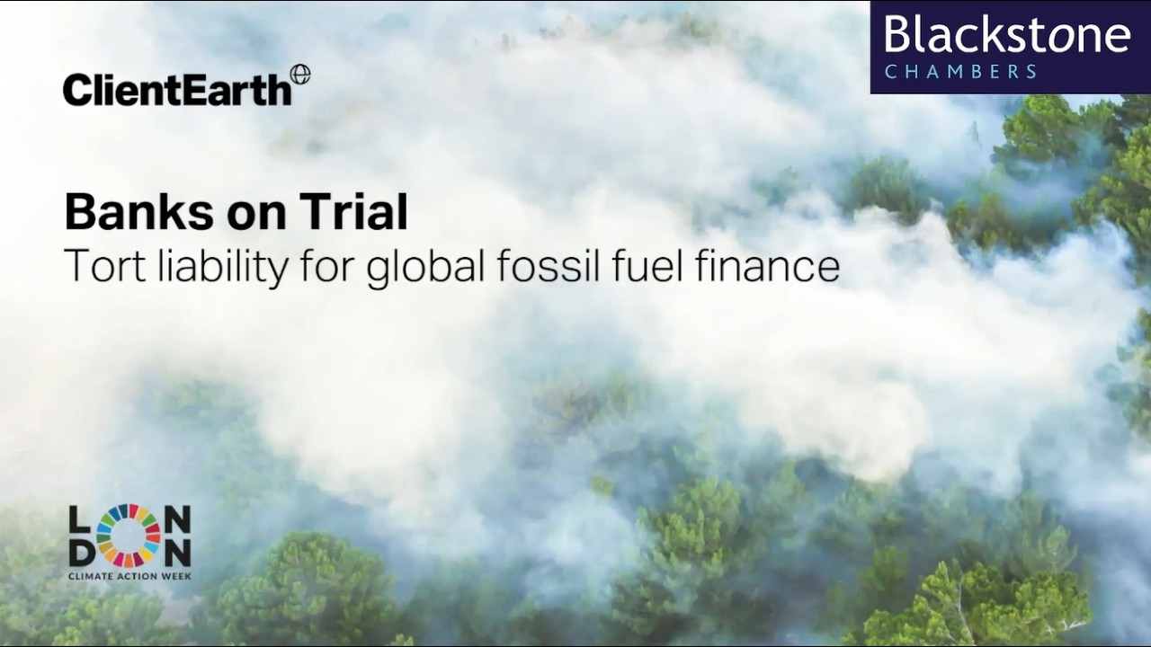 Banks on trial: Tort liability for global fossil fuel finance