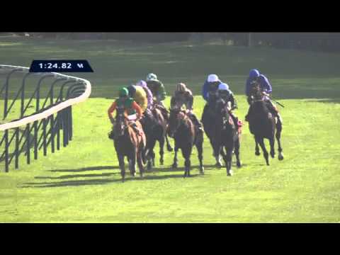 Qatar Prix Dollar 2015
