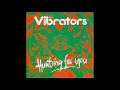 The Vibrators Hunting for you
