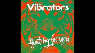 The Vibrators Hunting for you