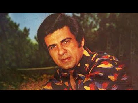 Manouchehr Sakhaei Biography