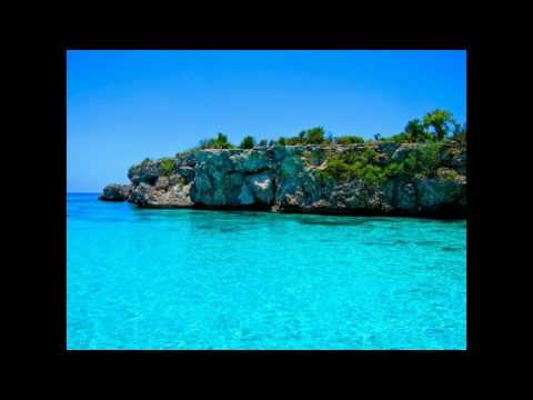 Tolerance Live In Paris Orchestre Tropicana D Haiti