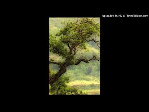 Rayyan Battle | #music #battlesongs #heroicmusic