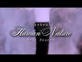 Human Nature NOLA BOUNCE Fazobeats