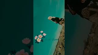 Download lagu Story wa fadi tolbi taqi ghrib ya mawlana mp3