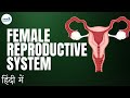 Reproduction - Lesson 04 | Female Reproductive System - in Hindi (हिंदी में ) | Don't Memorise