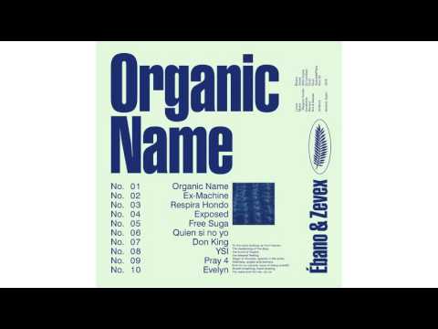 ORGANIC NAME /// 07.DON KING