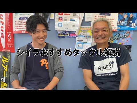 シイラについて詳しく解説