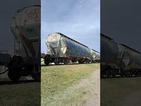 santino..general fernandez oro Rio Negro