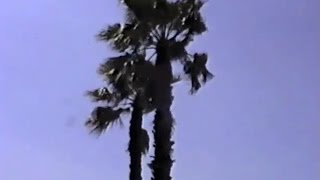 Grouper - "Holofernes"