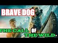 BRAVE DOG 2021 CALL OF THE WILD BEST MOVIE ADVENTURE 2021 2022 BEST MOVIE ALL TIME