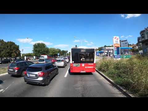 GSP Linija 56 Petlovo brdo - Zeleni venac