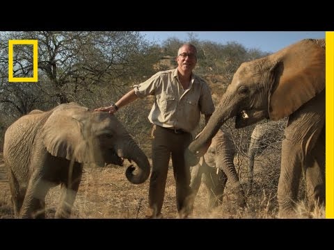 Let's Change the World Together | National Geographic