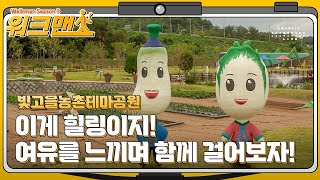 아시아문화중심도시 광주를 걸어보다 Walkman - 빛...