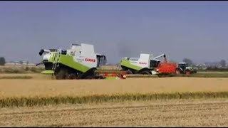 preview picture of video 'Video ufficiale Claas mietitrebbie serie 500 in risaia / Claas 500 combines into italian rice fields'