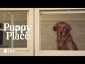 Puppy Place — Goldie the Golden Retriever | Apple TV+
